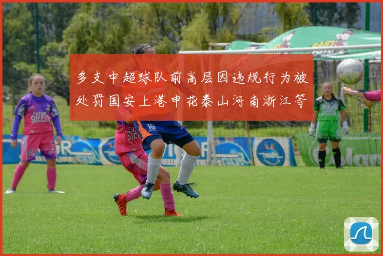 多支中超球队前高层因违规行为被处罚国安上港申花泰山河南浙江等队受影响