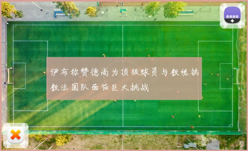 伊布称赞德尚为顶级球员与教练执教法国队面临巨大挑战